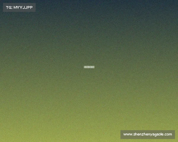 恒大参加世界杯